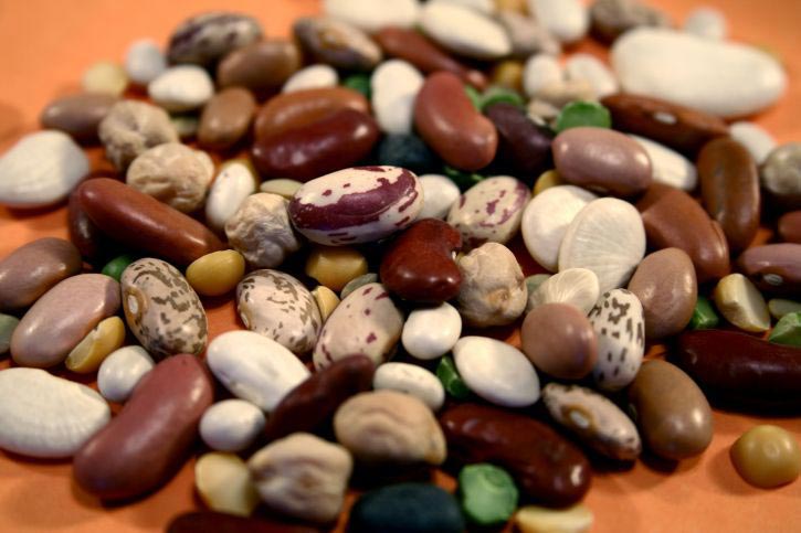 Variety of Dried Beans